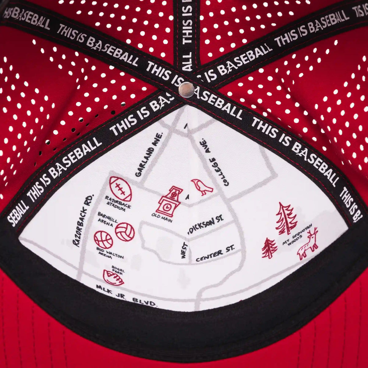 University of Arkansas: Baseball Apex Hat Cardinal