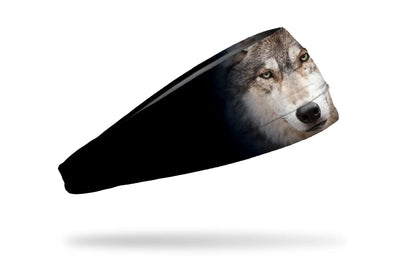Gray Wolf Big Bang Lite Headband