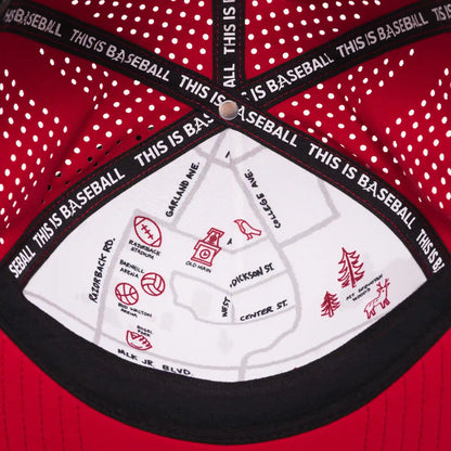 University of Arkansas: Baseball Apex Hat Cardinal