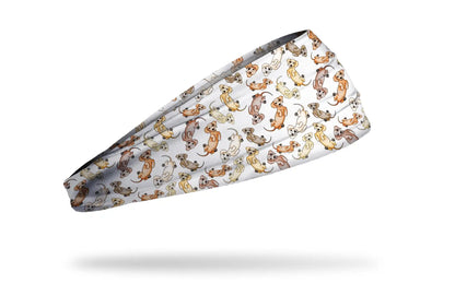 Dasher Big Bang Lite Headband