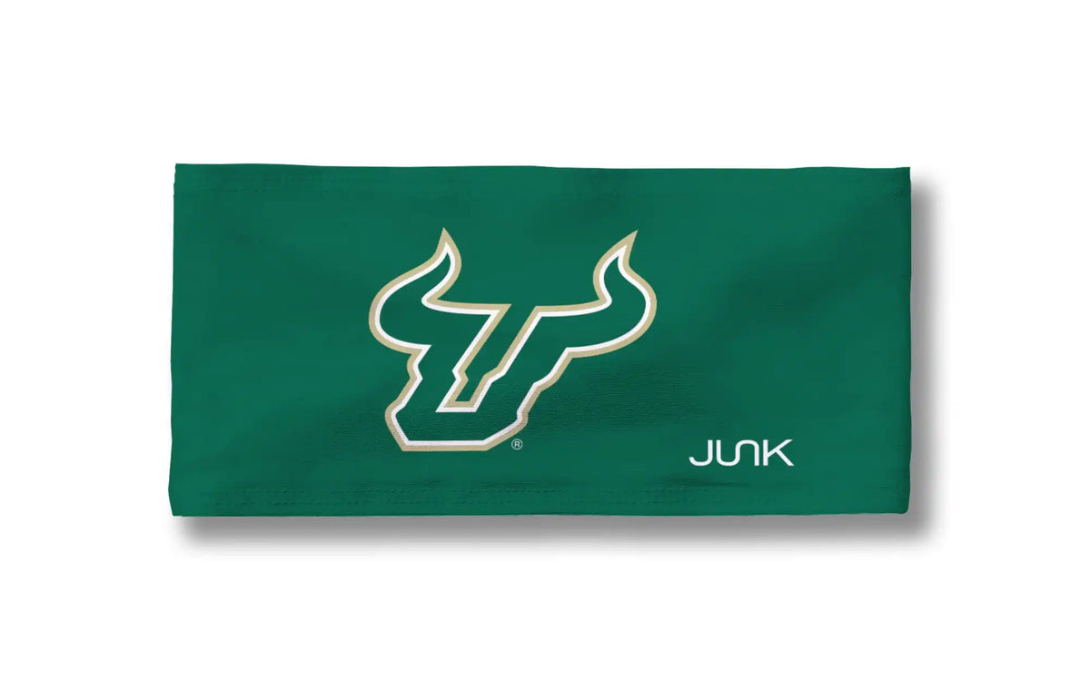 University of South Florida: Home Solid Big Bang Lite Headband