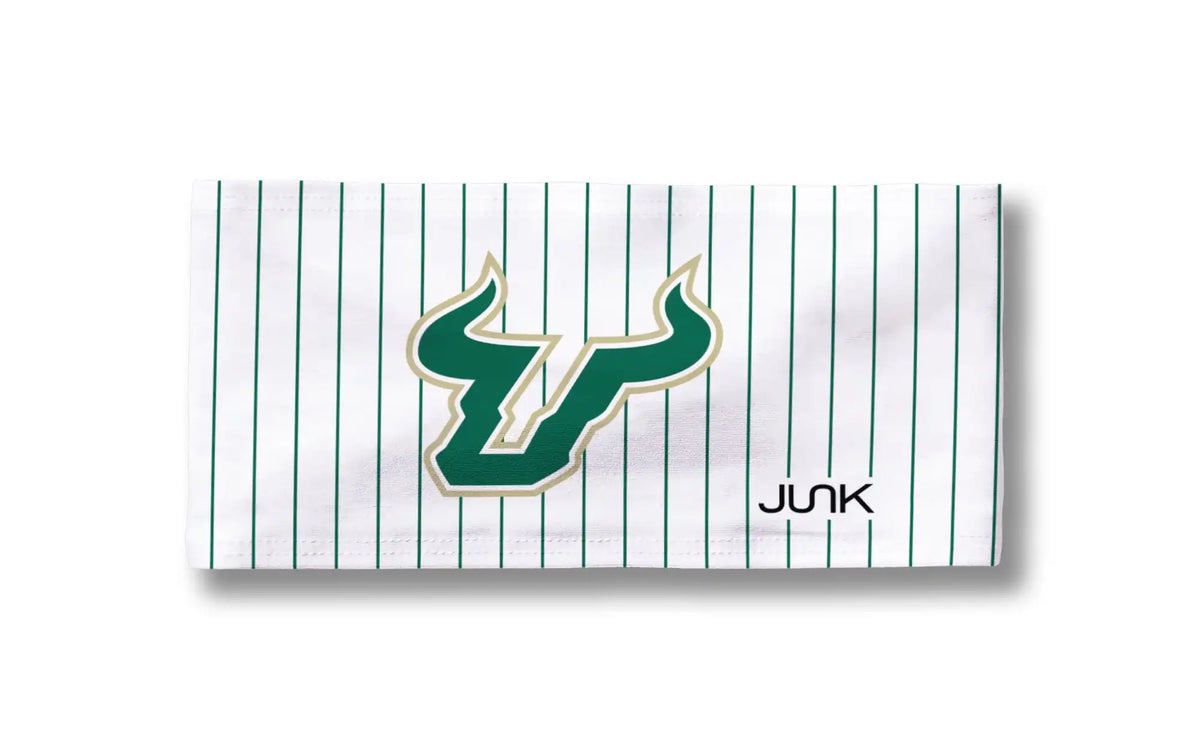 University of South Florida: Pinstripe Big Bang Lite Headband