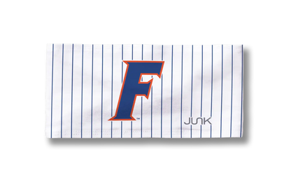 University of Florida: Pinstripe Big Bang Lite Headband