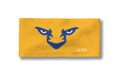 University of Pittsburgh: ROC Big Bang Lite Headband