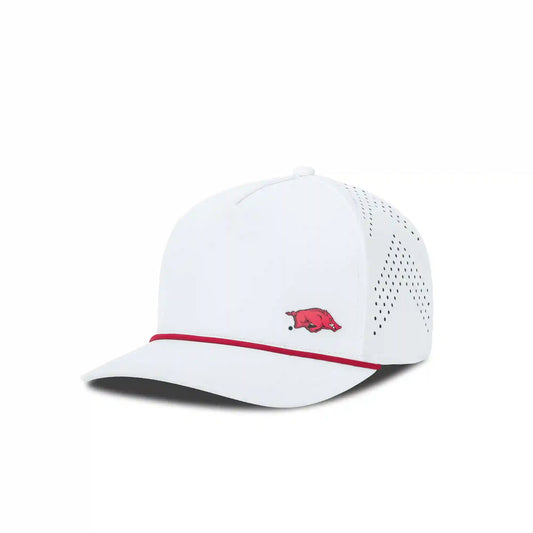 University of Arkansas: Apex Hat Arctic Snow